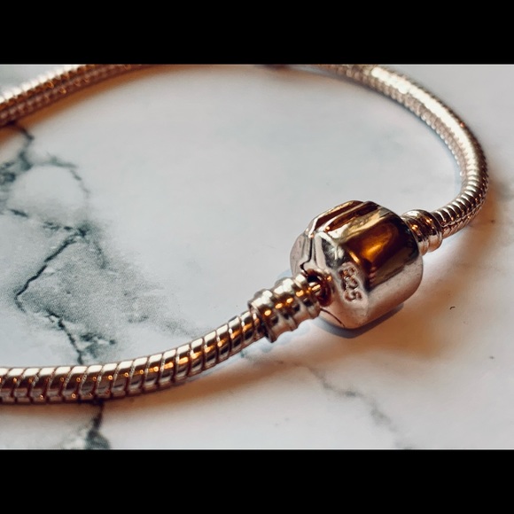 Rose Gold European Charm Bracelet - Picture 2 of 3